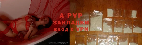 a pvp Алзамай