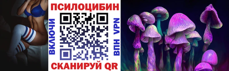 где продают   Бологое  Псилоцибиновые грибы мицелий 